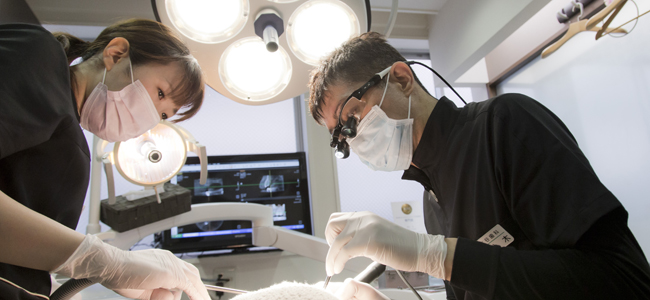 足立区の歯医者、日比谷歯科医院のあきらめない歯周病治療
